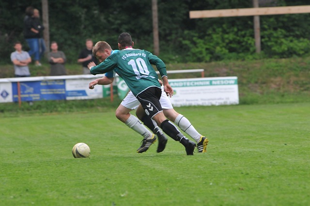 加强对国际 加强对国际