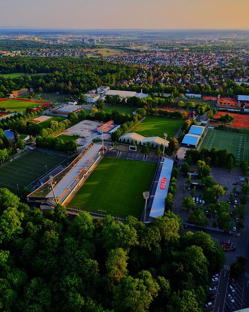 泰山队的主 泰山队的主