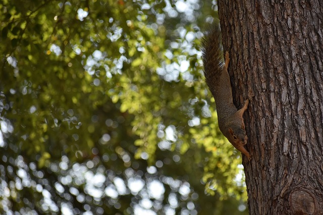 有技术的年 有技术的年