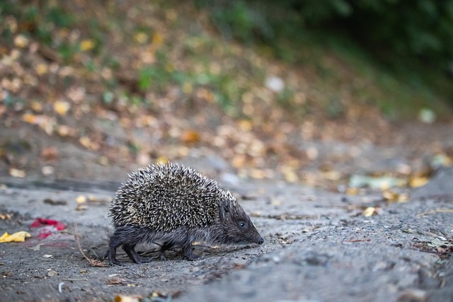 推动生态友 推动生态友