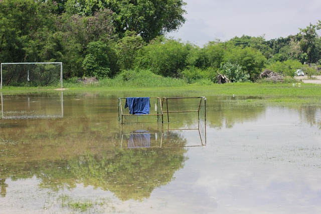 展的背景下 展的背景下