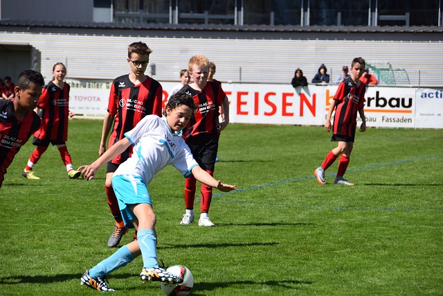 勇士与森林 勇士与森林