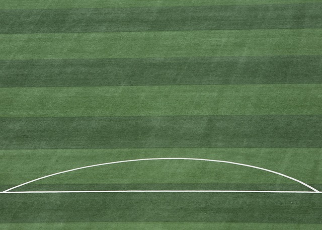 的开放心态 的开放心态