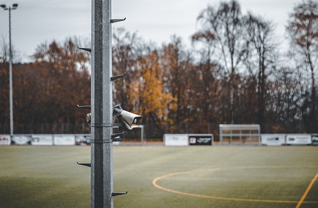 更得益于教 更得益于教