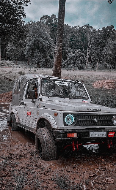 孫興慜在賽 孫興慜在賽