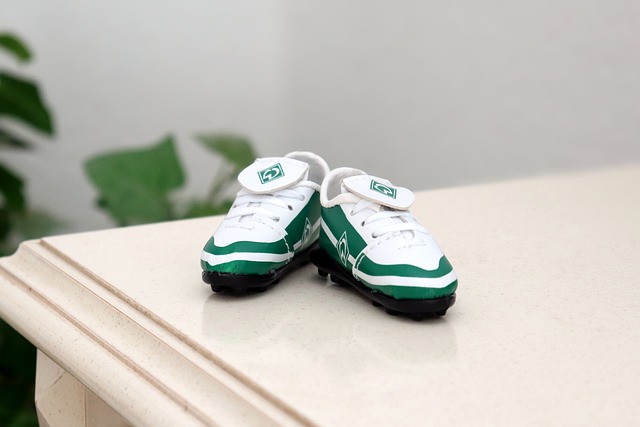 体育领域的 体育领域的