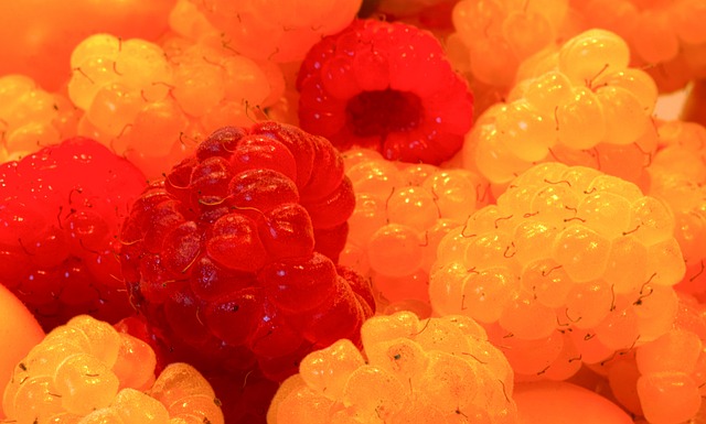 球员的得分 球员的得分