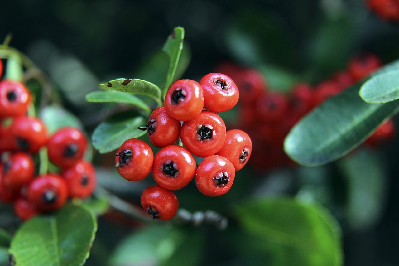 这位西班牙 这位西班牙