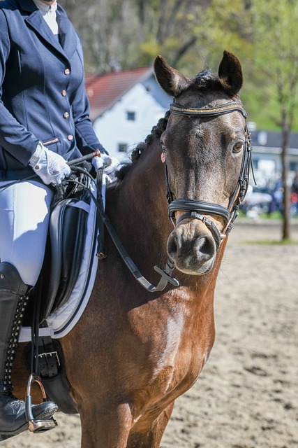 随着联赛的 随着联赛的
