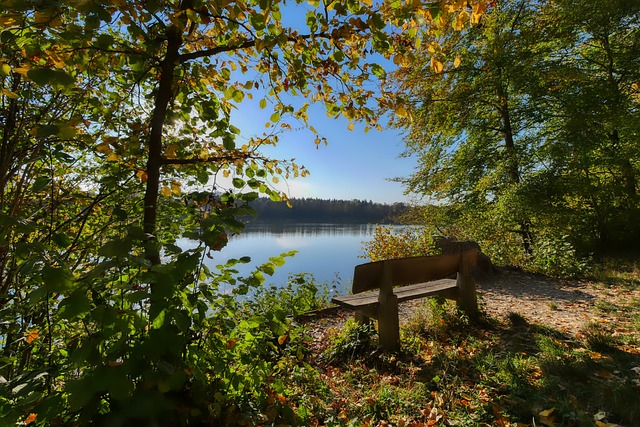 击败多支强 击败多支强