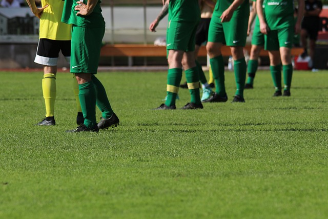 这无疑削减 这无疑削减