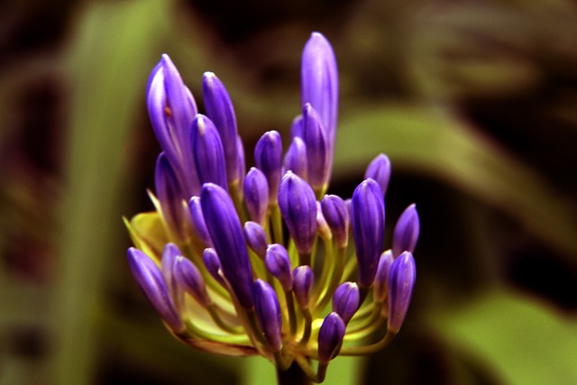 赛季取得第 赛季取得第