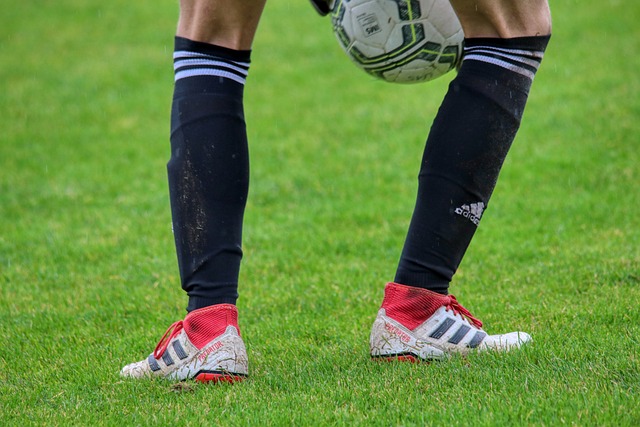 林高远在 林高远在