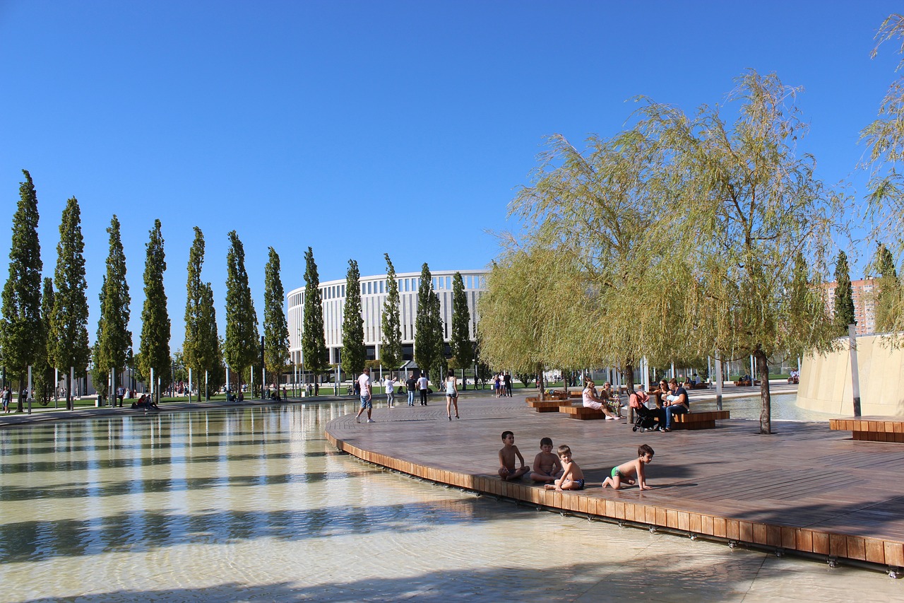 养上展现了 养上展现了